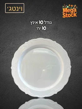 צלחת חד פעמית 10 אינץ' לבנה