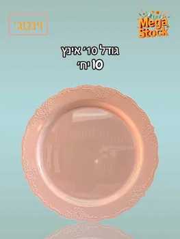 צלחת חד פעמית 10 אינץ' ורודה