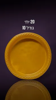 צלחות חד פעמיות קשיחות בגודל 10 אינץ'