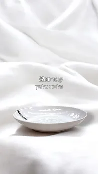 צלחת מלמין 22 ס"מ