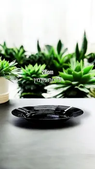 צלחת מלמין עגולה 28 ס"מ