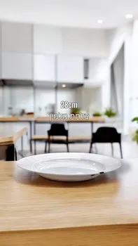 צלחת מלמין 28 ס"מ